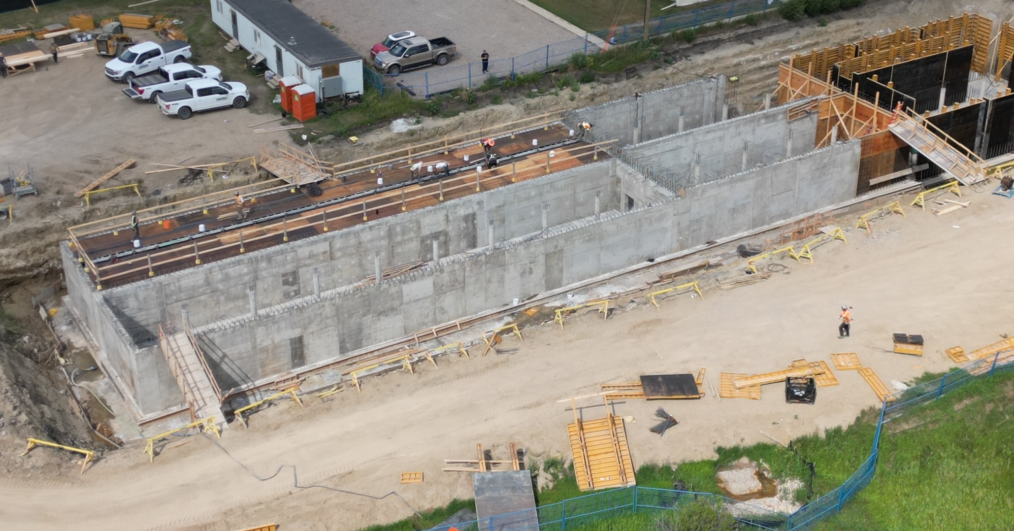 Plant Construction 4